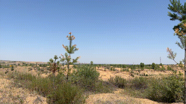 640 (1).gif